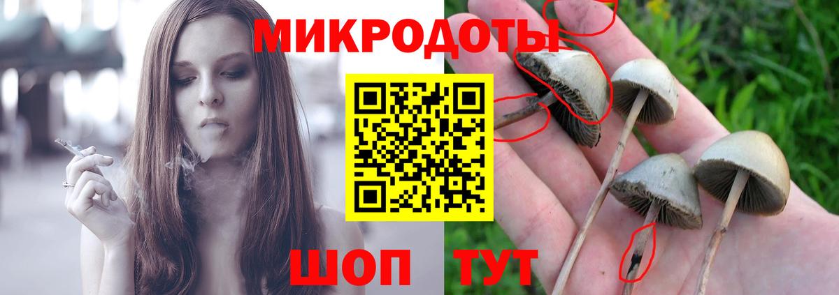 Галлюциногенные грибы Psilocybine cubensis Советский